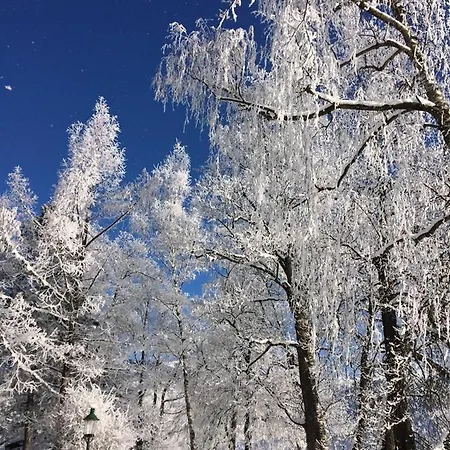 Seeblick By Pinzgau Holidays * צל-אם-זי